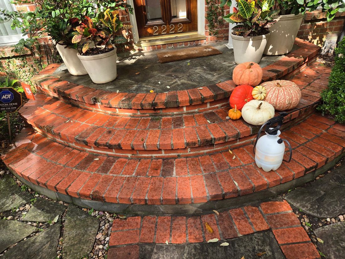 Brick steps before cleaning