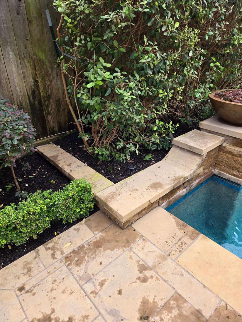 Pool coping and stone before cleaning, stained with organic growth