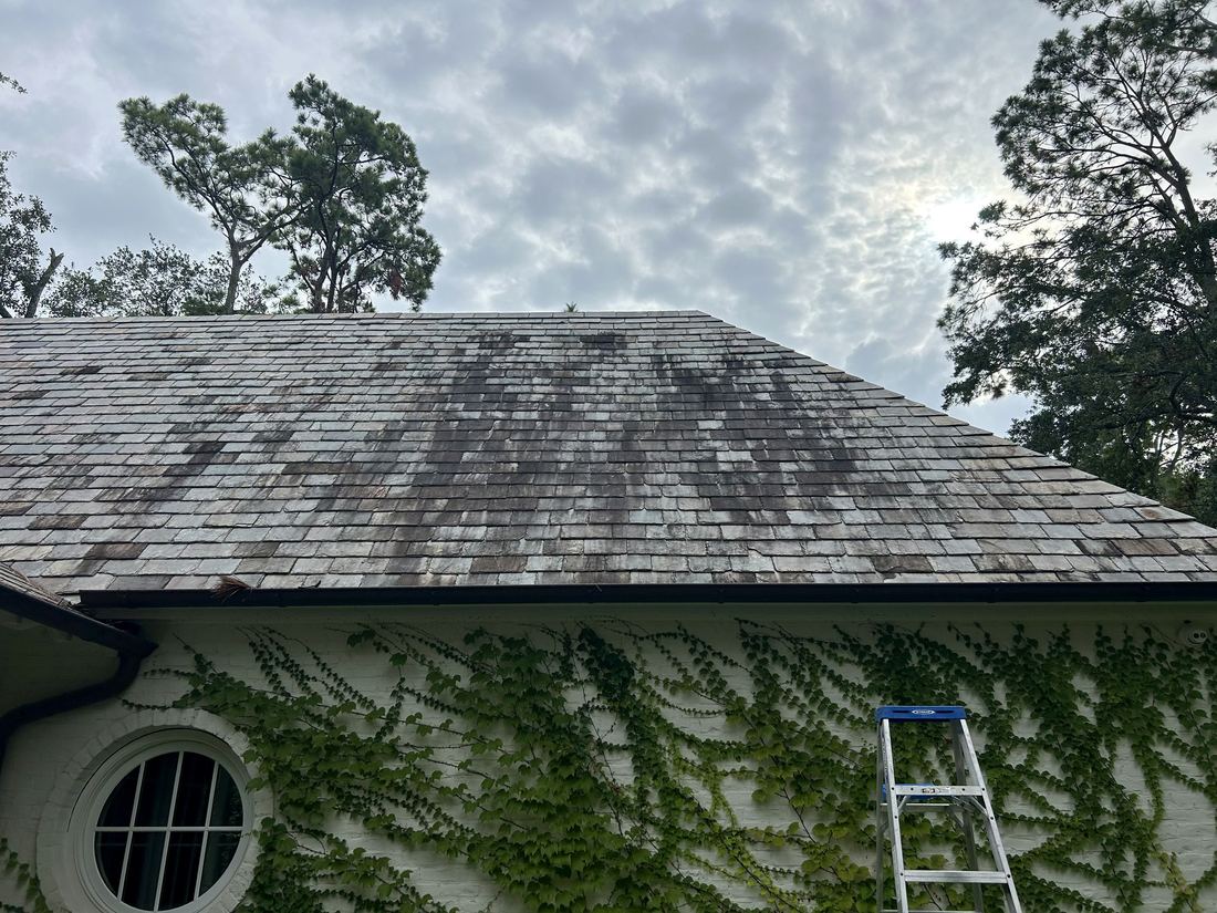 Slate roof with organic staining before soft washing